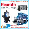 Mô đun bộ khuếch đại Rexroth VT 11118-10 Nhà cung cấp Rexroth tại Việt Nam - anh 1