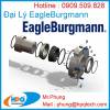 Phớt làm kín cơ khí cho bơm Eagle Burgmann | Đại lý EagleBurgmann tại Việt Nam - anh 1