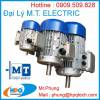 Động cơ MT Electric 3 pha TFS | Đại lý MT Motor Electric tại thị trường Việt Nam - anh 1